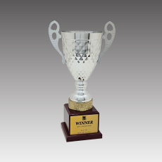 G6256-B 필드S컵 트로피