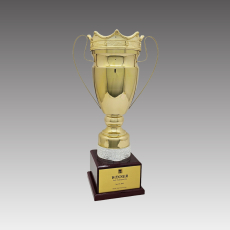 G6257-B 아너컵 트로피