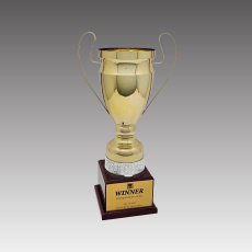G6258-C 아너S컵 트로피