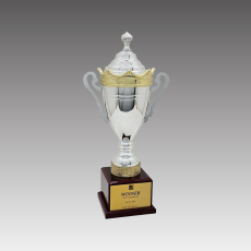 G6259-B 워드컵 트로피