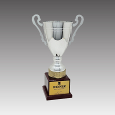 G6260-C 워드S컵 트로피