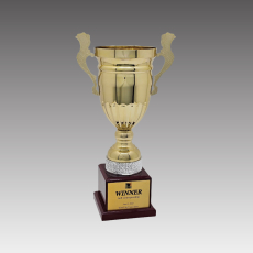 G6262-C 마인츠S컵 트로피