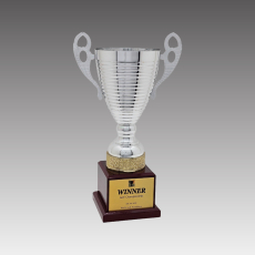 G6265-A 포리S컵 트로피