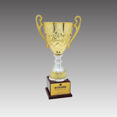G6266-A 페스타프라임컵 트로피