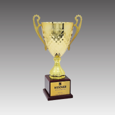 G6270-C 토파즈S컵 트로피