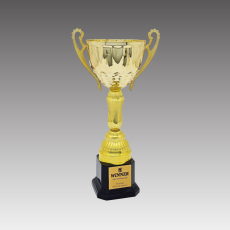 G6272-A 포커스H컵 트로피