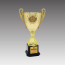 G6273-C 네오컵 트로피