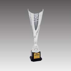 G6276-B 실버스타컵 트로피