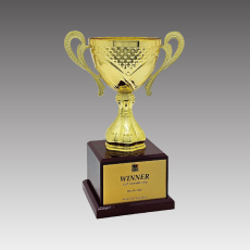 G6279-B 몬타나컵 트로피